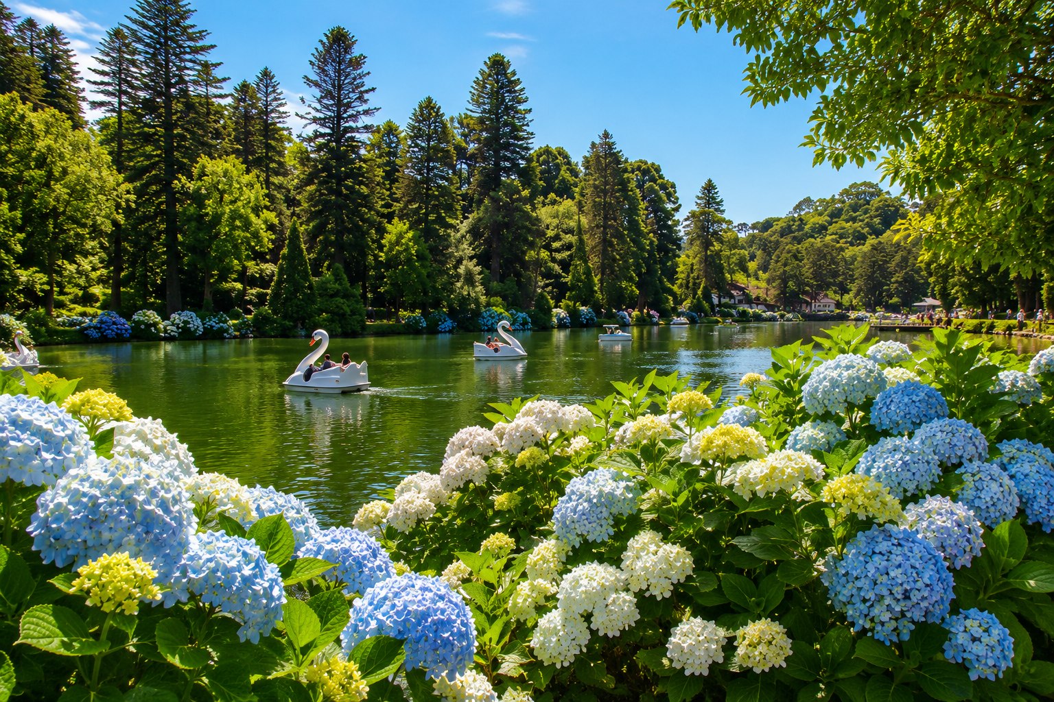Lago Negro em Gramado com hortênsias e pedalinhos