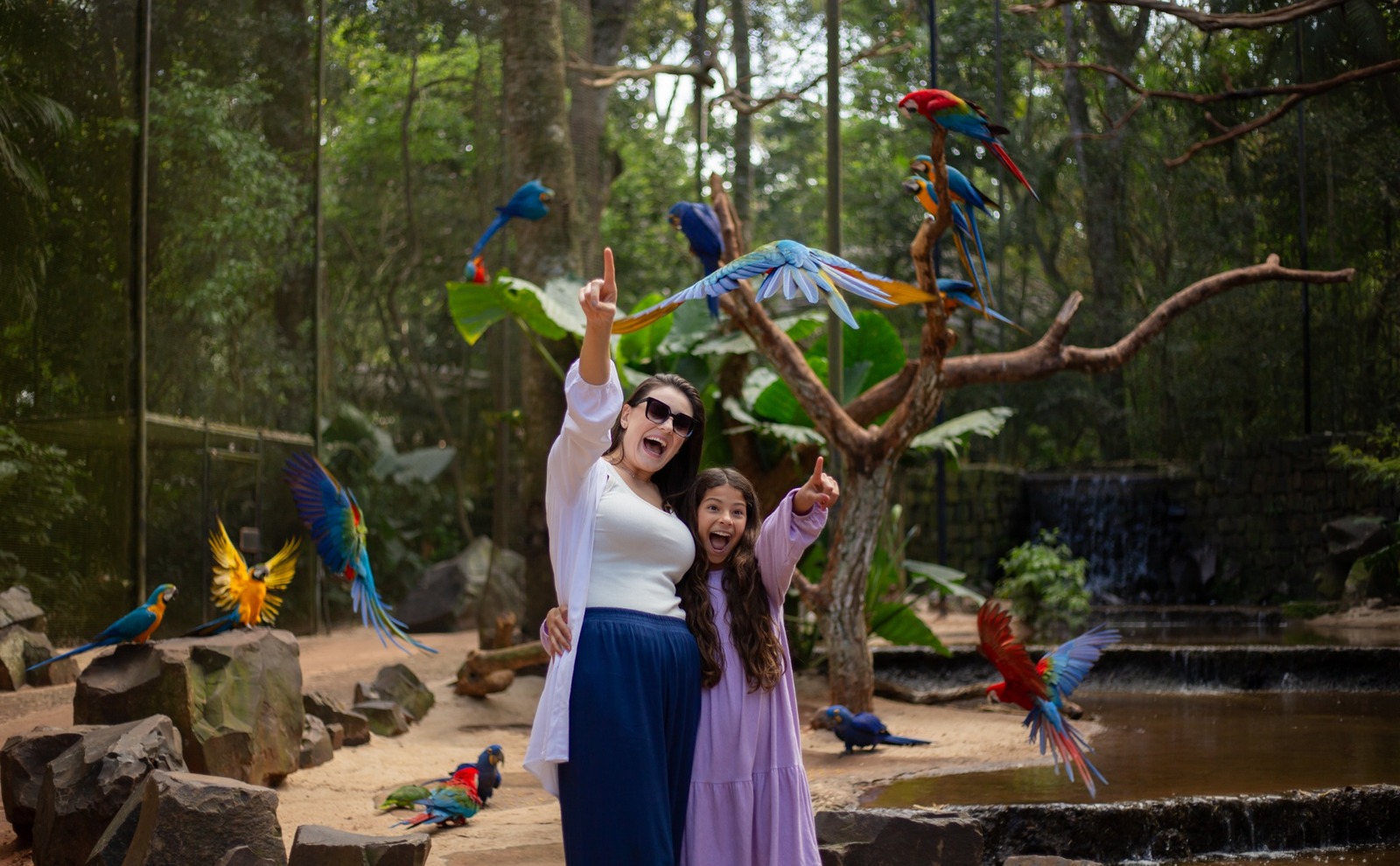 Mulher e criança observam araras durante experiência no Parque das Aves, em Foz do Iguaçu